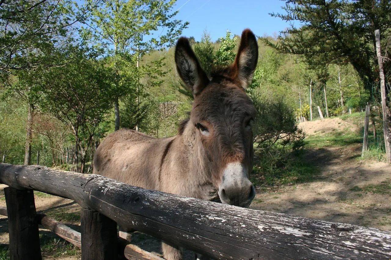 Willa Podere Pian De' Cortini Serravalle  0*, Serravalle (Bibbiena)