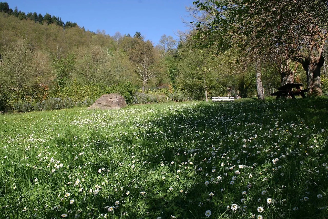 Podere Pian De' Cortini Villa Serravalle  Farm stay Serravalle (Bibbiena)