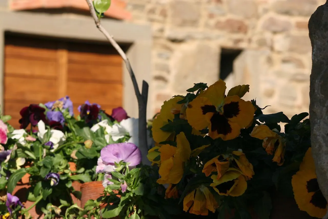 Farm stay Podere Pian De' Cortini Villa Serravalle