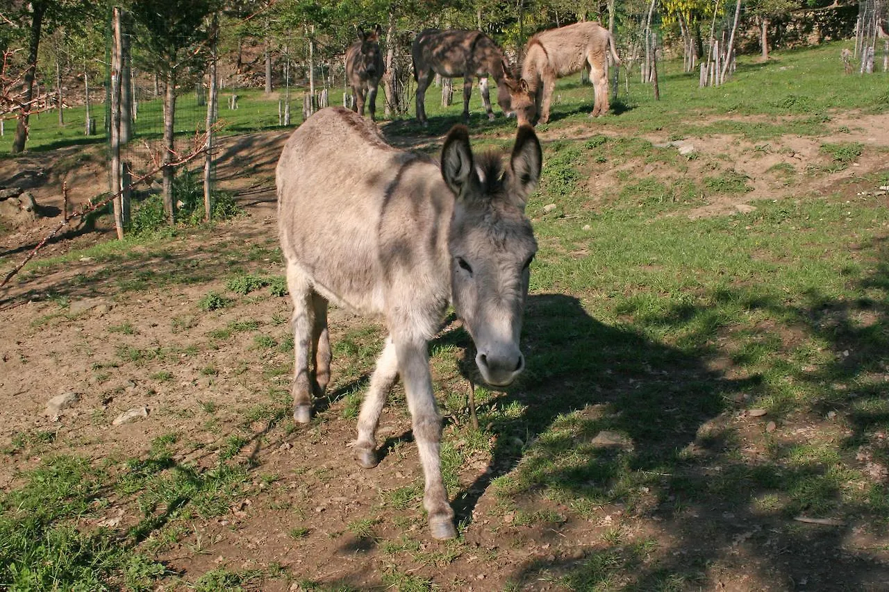 Farm stay Podere Pian De' Cortini Villa Serravalle